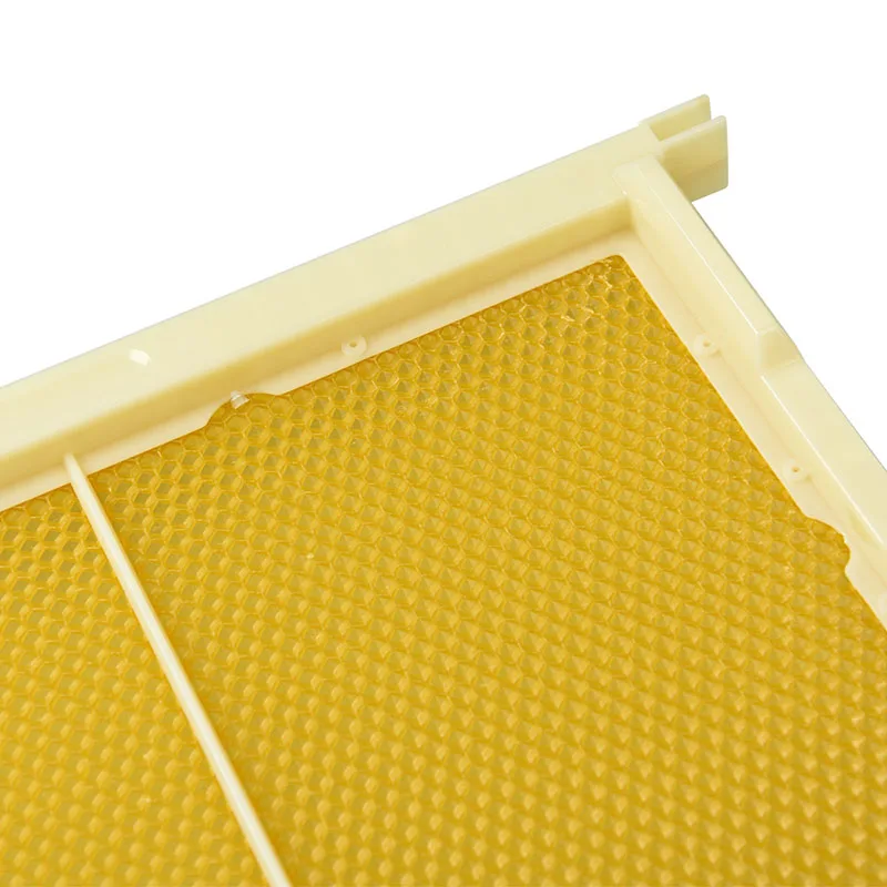 XKP10-800X800-2