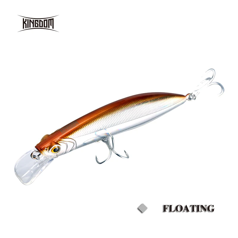 

Kingdom Floating Minnow Wobblers Fishing Hard Lure 100mm 20.7g/120mm 30g New Arrival Hard Bait Fishing Tackle Plastic Model 5501