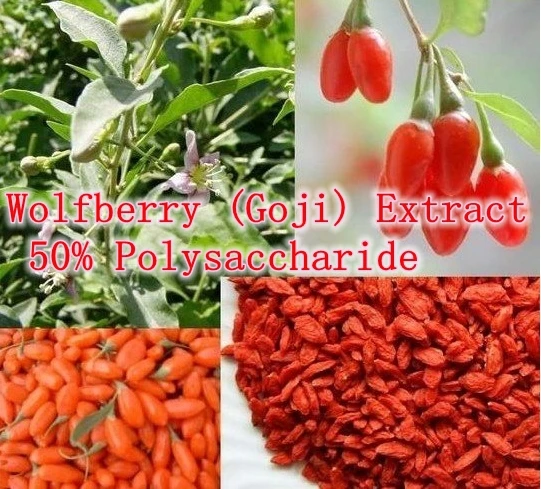 

1 Pack High Quality Wolfberry (Goji) Extract 50% Polysaccharide 500mg x 100caps free shipping