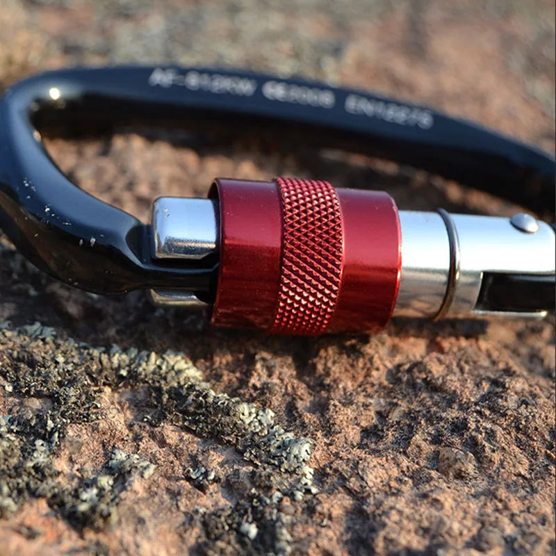 Professional Safety Master Lock D Buckle Climbing Lock Carabiner Rock Buckle Equipment for Climbing Professional Safety Master Lock D Buckle Climbing Lock Carabiner Rock Buckle Equipment for Climbing