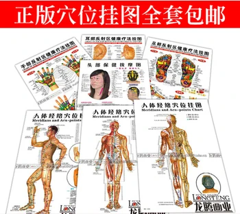 

7pcs Acupuncture wall chart Meridians Acu-points Chinese-English Ear Foot reflective zone map free shipping