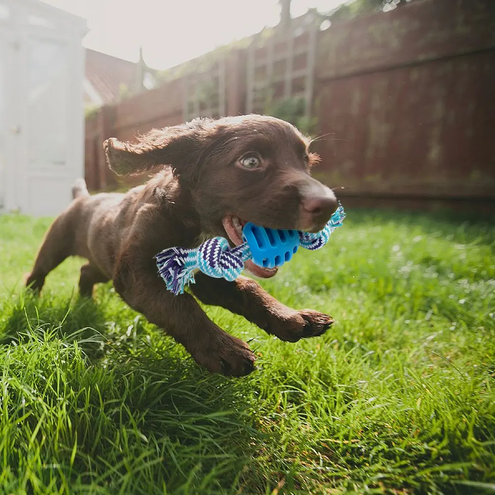Резиновые игрушки-мячи для собак буксир веревка для жевания Игрушки для маленьких и крупных собак игровое Обучение Забавный интерактивный питомец игрушка для собак Jouet Chien