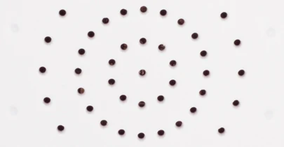 250195732-7