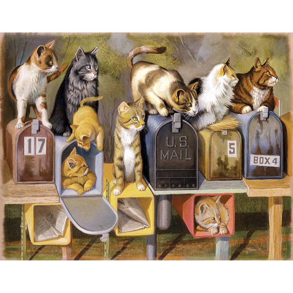 CANX40016117猫咪90X70_副本
