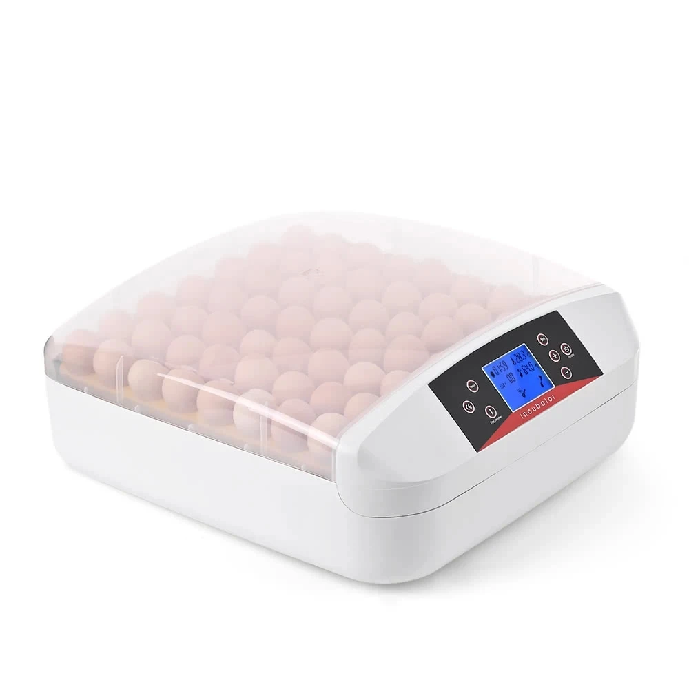 Transparent Plastic All-In-One Intelligent Full-automatic Egg Incubator Hatcher 56 Eggs Hatching Machine for Chicken Duck