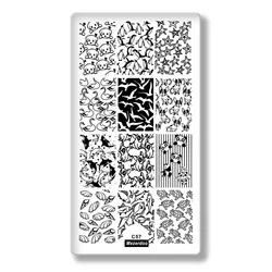 Floral & Geometric Nail Art Stamping Plate (C 57)