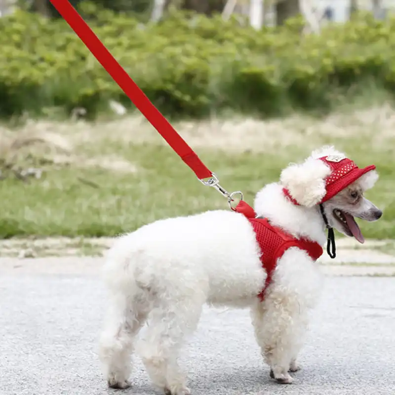 dog harness for sale