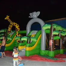 Новые конкурентоспособные продукты надувной замок, надувной парк, надувная горка