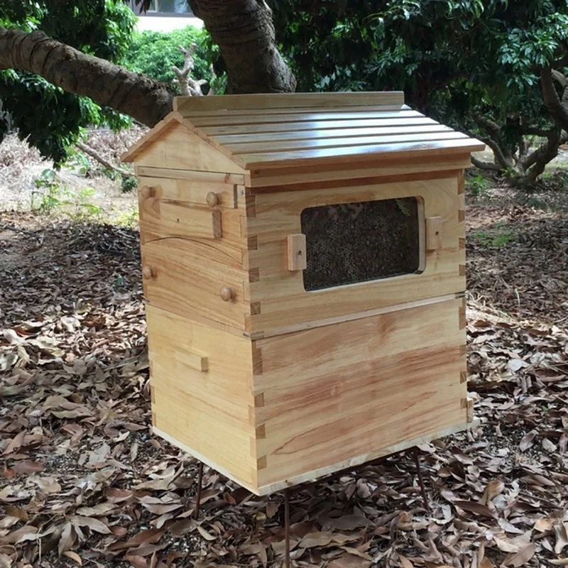 Upgraded Beekeeping Wooden House Box W// 7PCS Auto Move Honey Beehive Frames US
