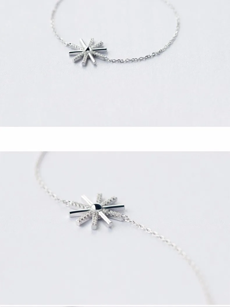 2938699068_334617663