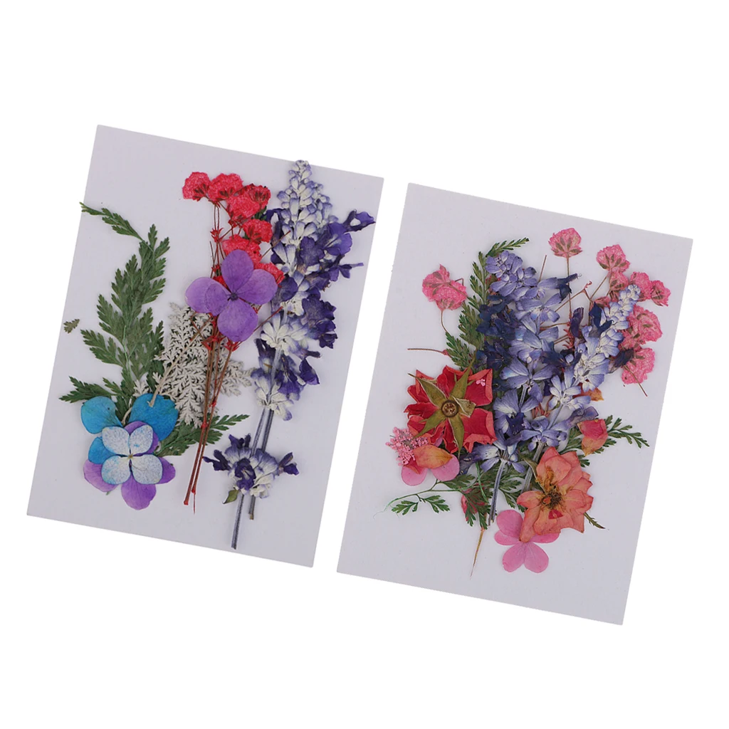 

2 Packs Pressed Flowers Real Dried Flowers DIY Decor Floral for Arts Resin Crafts Jewelry Making Soap Candle Making Supplies