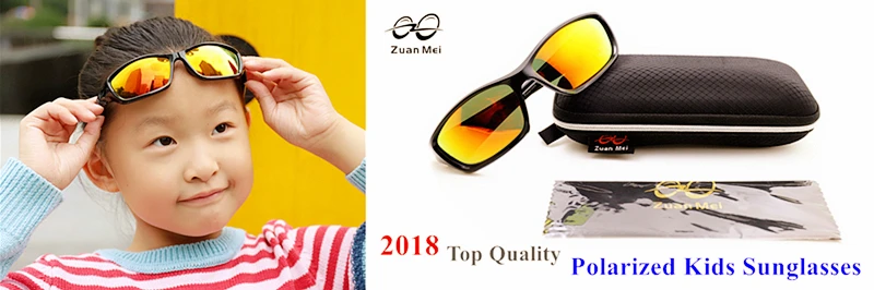 ZMS01-