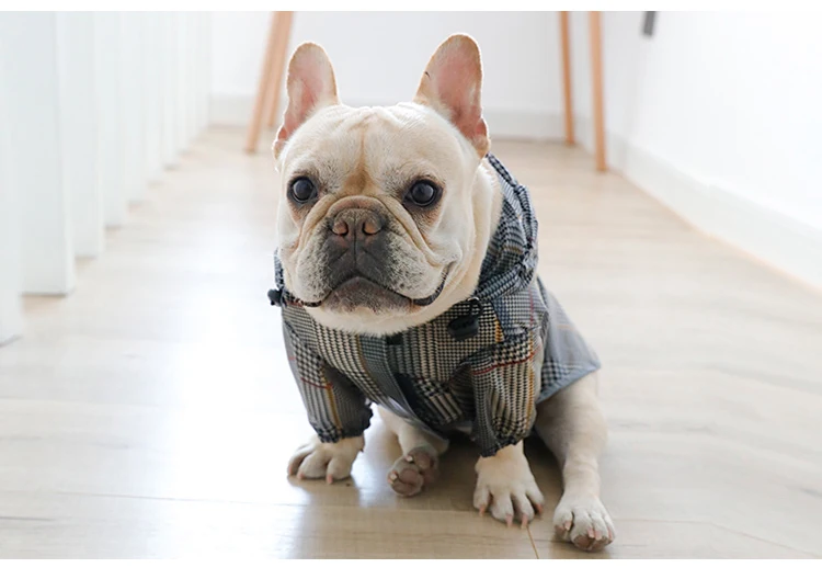 O1CN01XzDPYP1okV0ZDYRAm_!!58305263