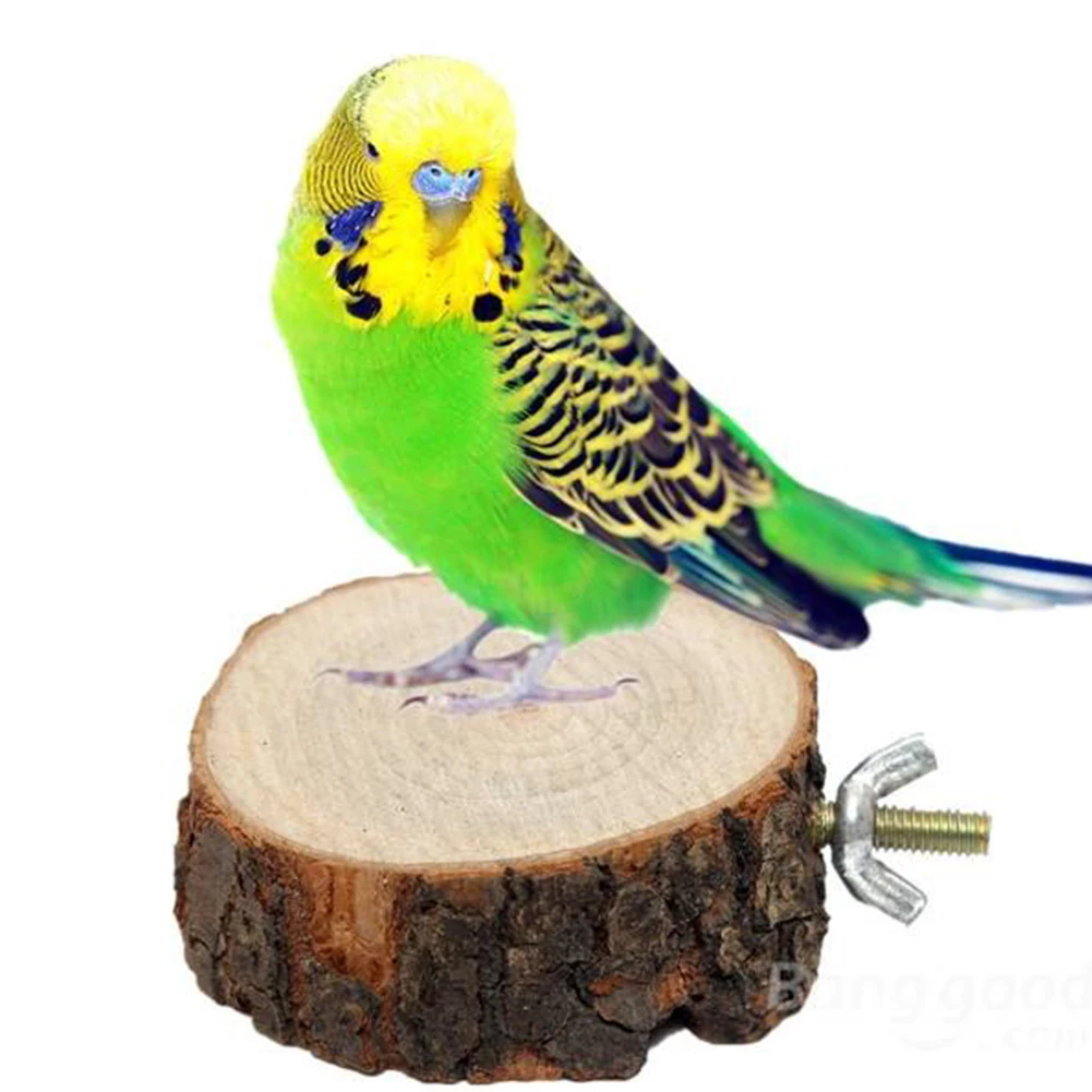 

New Parrot Bird Cage Perches Round Wooden Coin Stand Platform Pet Budgie Bird Stand Toy, Diameter 3.2 inch