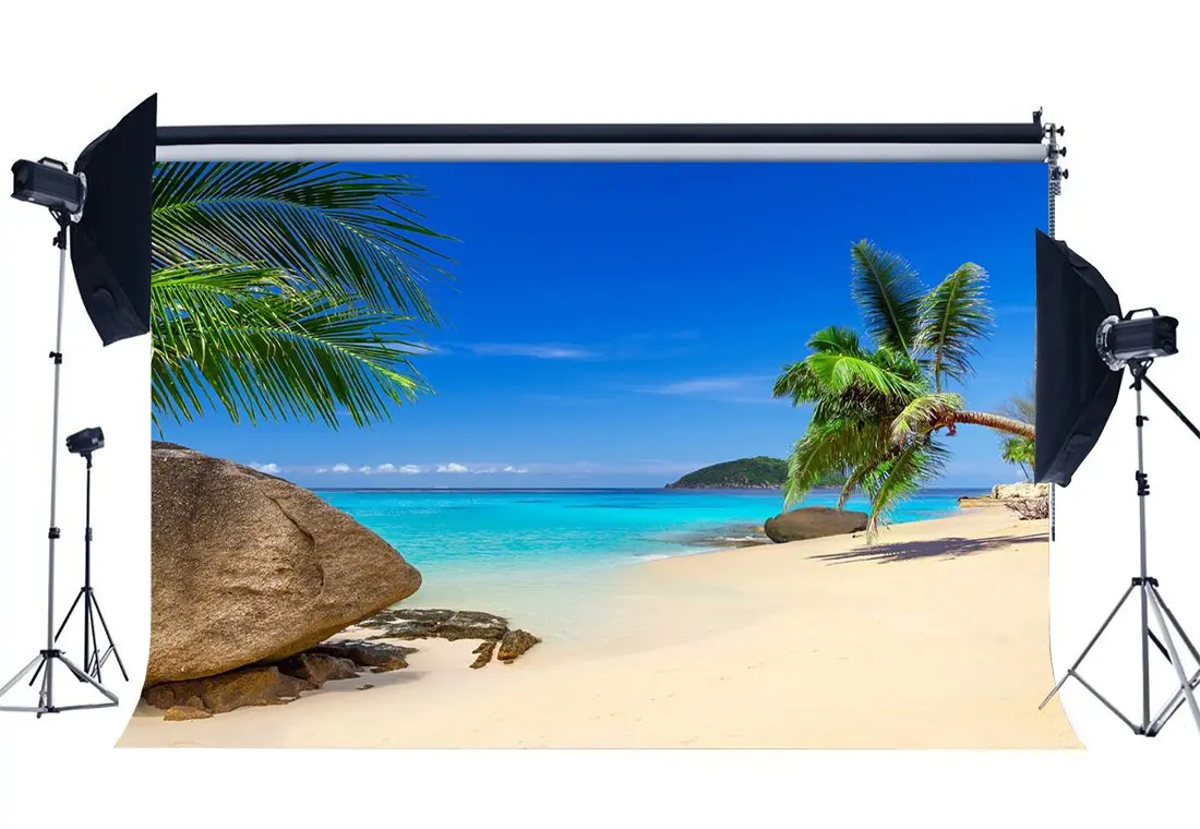 

Sand Beach Backdrop Seaside Coconut Tree Rock Stones Blue Sky White Cloud Island Nature Summer Background