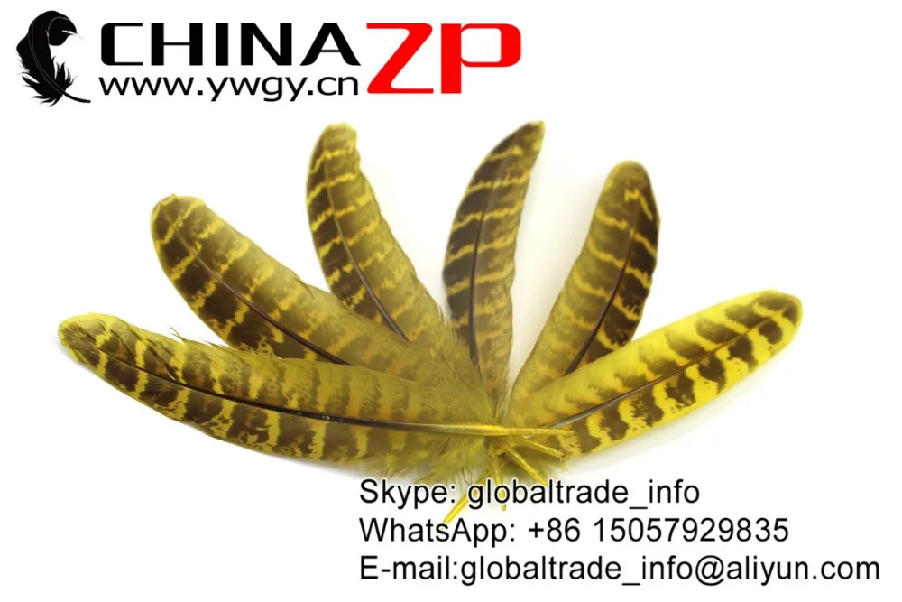 Yellow Ringneck Hen Pheasant Round Quill Wing Feathers (7)
