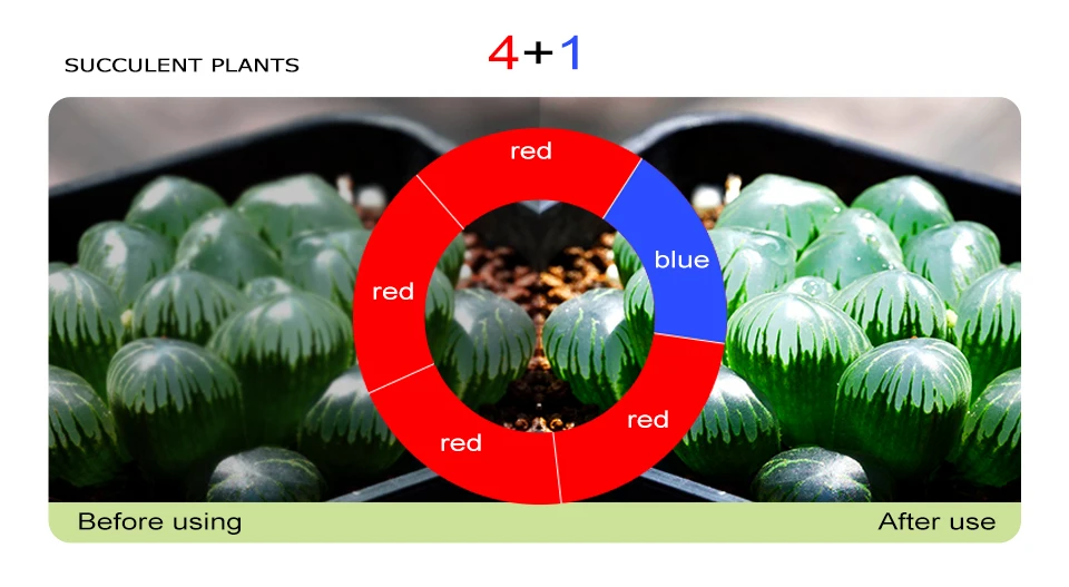 LED Grow Light Strip Tape Set DC12V Phytolamp Touch Switch Fitolamp (13)
