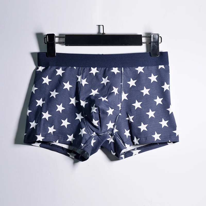 Cotton Boxers Men 365 Underpants Boxer Weed Brand Underwear Men Cuecas Navy Star Dot Funny Boxer Shorts For Men Panties 2Pcslot01