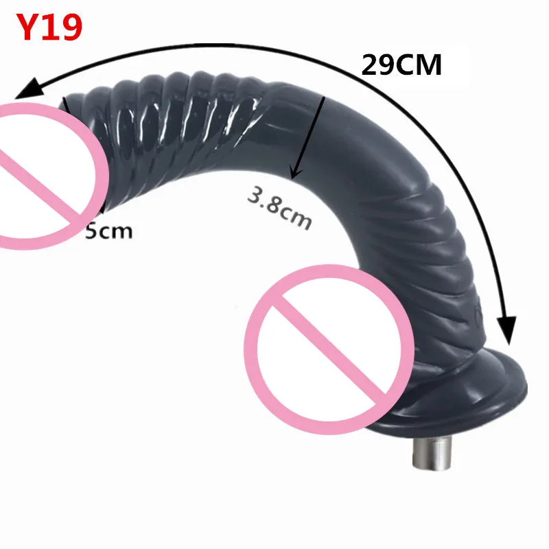 Y19 (1)
