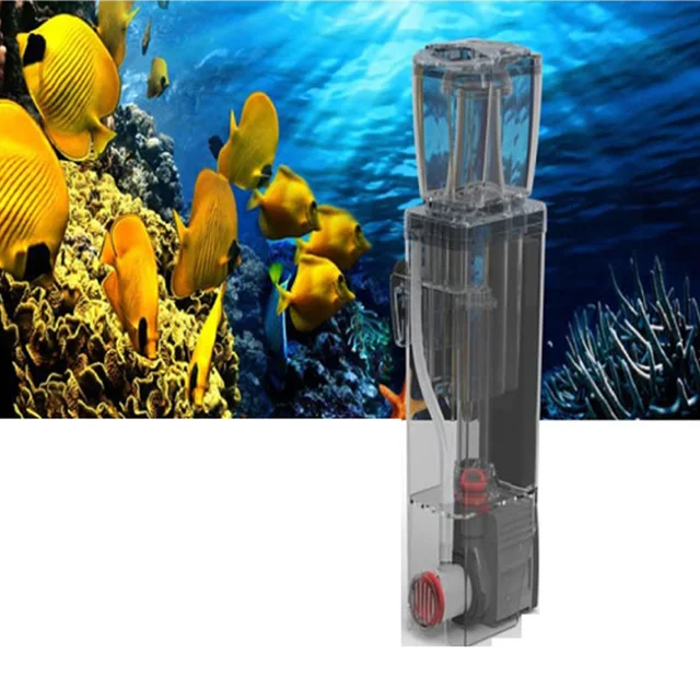 bmqq2 internal protein skimmer