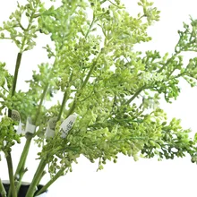 soybean flower