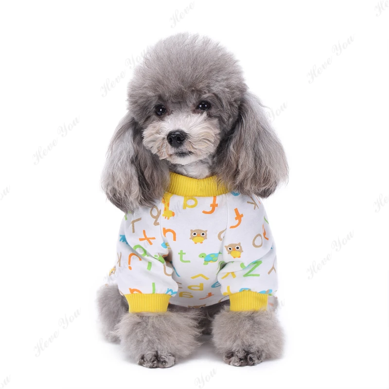 Dog_2844
