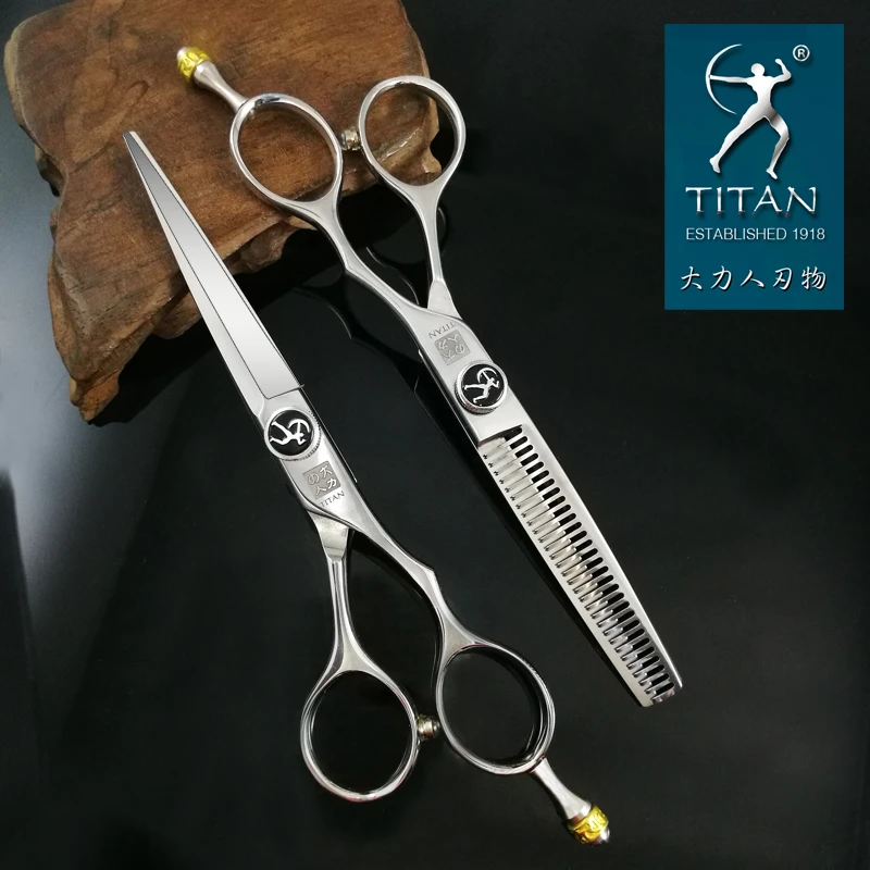 Ciseaux De Coiffeur Professionnels Titan Livraison Gratuite 6 0 Pouces Aliexpress