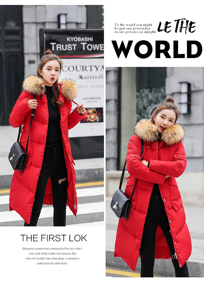 Winter Jacket Women Medium And Long Section Big Fur Collar Cotton Clothing Winter Jacket Women Coats Women Parka 2018 CH778 (2)