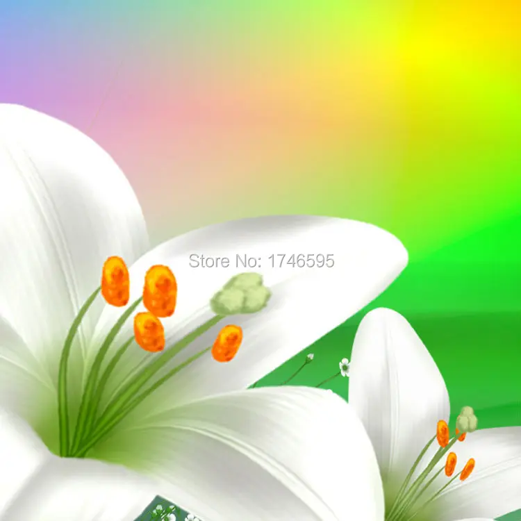 wild white daffodil-3