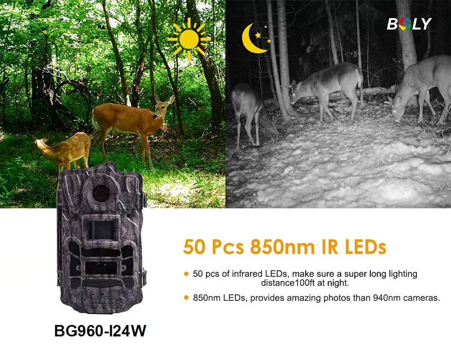 BG960-124W-des1