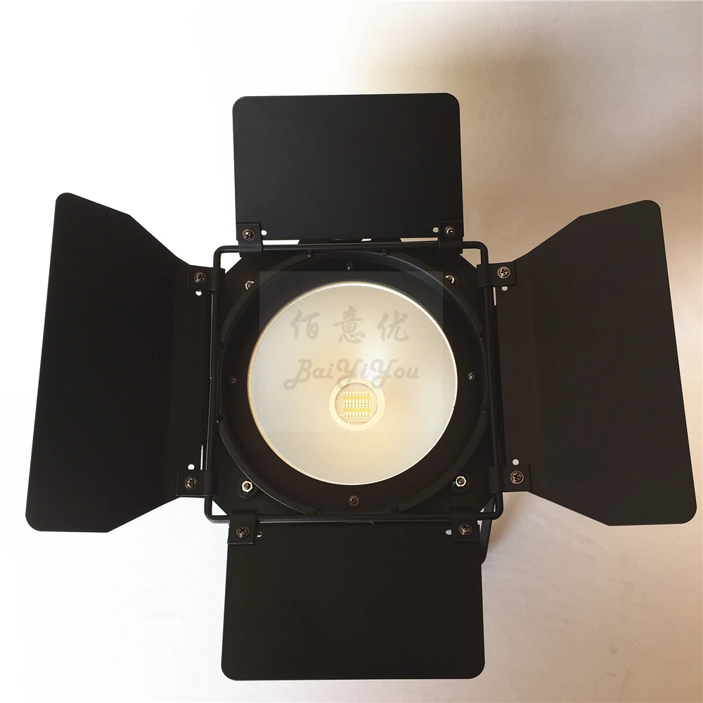 200W COB PAR Light 06