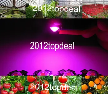 

100pcs New Arrival , 3w full spectrum led chip , 400nm~840nm with bridgelux for medical plant grow ,suit for all stage with pcb