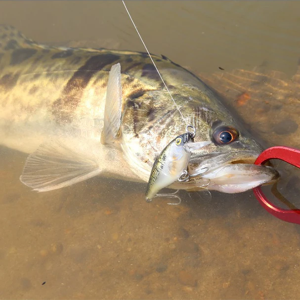 Kingdom Fishing воблеры Джеркбейт воблер жесткие приманки тонущий гольян 55 мм 6,5 г пластиковая приманка 4 цвета модель 7501