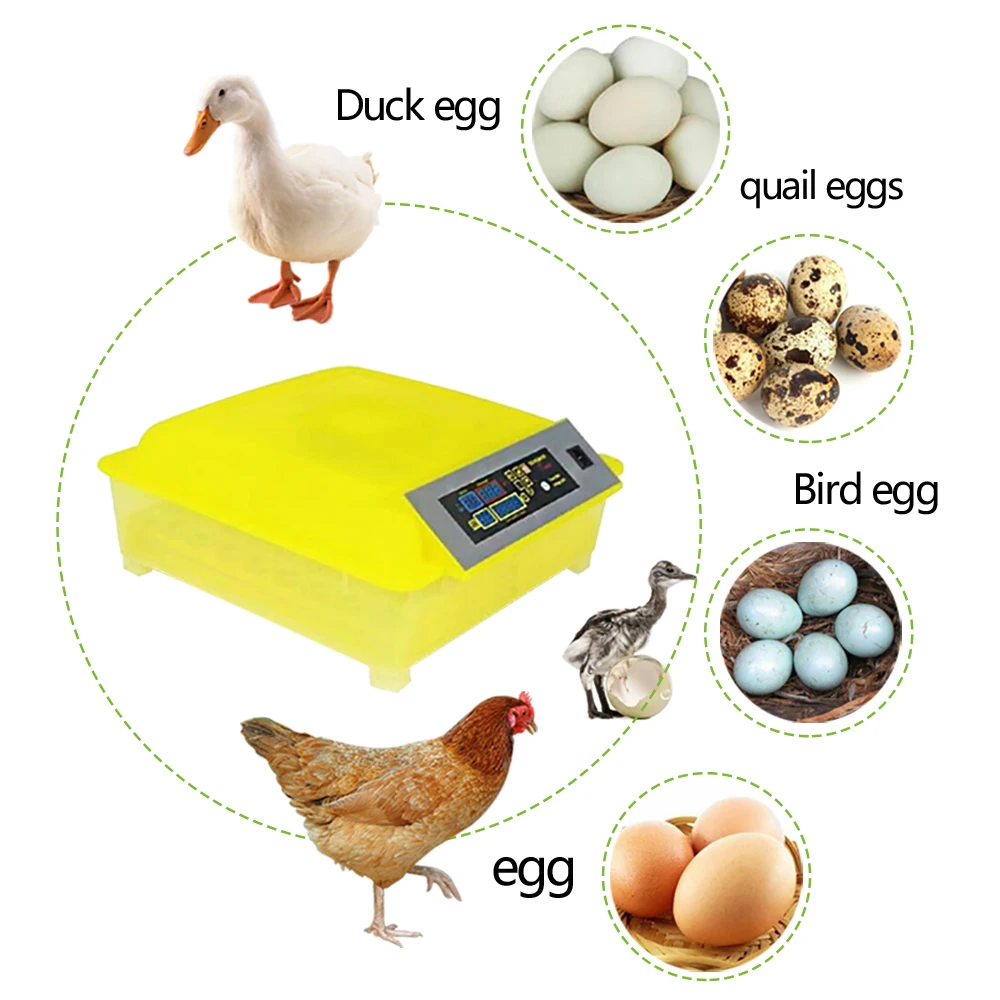 

48 Eggs Incubator Automatic Incubator Mini Chicken Egg incubator DL-48