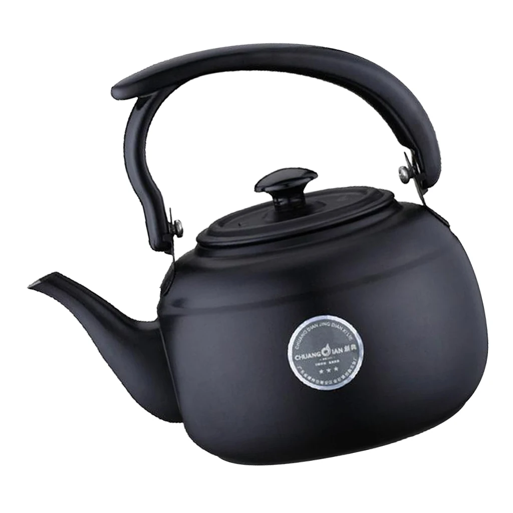 1L Stainless Steel Teapot TeaKettle Stovetop Fast Boiling for Tea Coffee