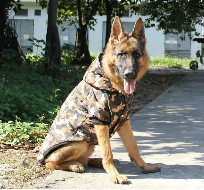 german shepherd winter jackets