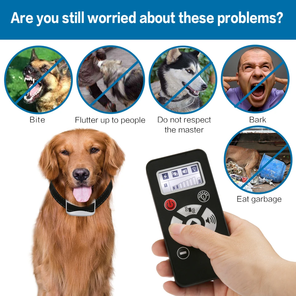 dog master training collars