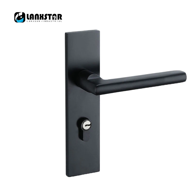 LANXSTAR Black Solid Space Aluminum Door Locks Continental Bedroom