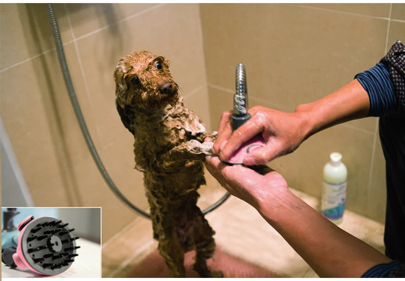 Pet Shower  (5)