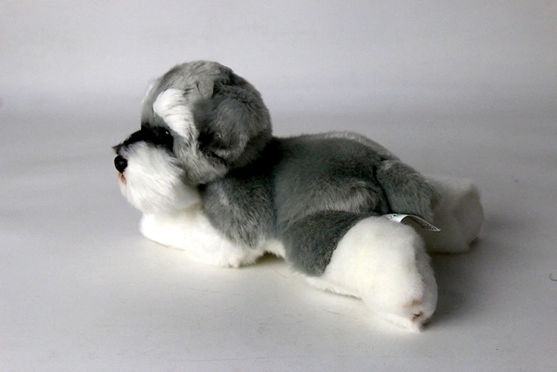 HTB1wRTBX5nrK1Rjy1Xcq6yeDVXac - Schnauzer Merch