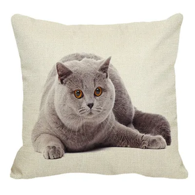 Милые британская кошка льняная наволочка диван декоративная наволочка с животным узором квадратная Наволочка на подушку размером 45*45 см - Цвет: 19