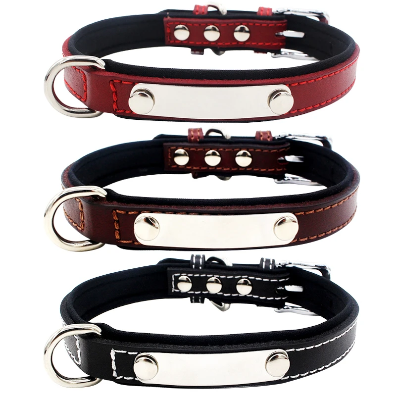 Collier En Cuir Reflechissant Personnalise Pour Chat Nom Et Numero De Telephone Gravure Gratuite Pour Chiot Chihuahua 40