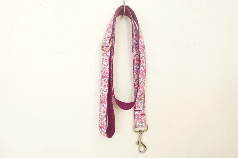 Pet Dog Collar and Leash (10)
