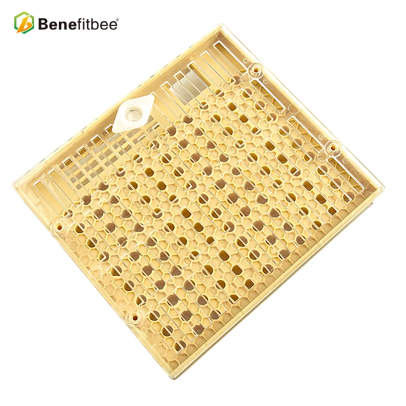 Выгода Apicultura пчеловодная королева Rearing Cup kit Box 110x коричневая система Cell Cupularve Tools