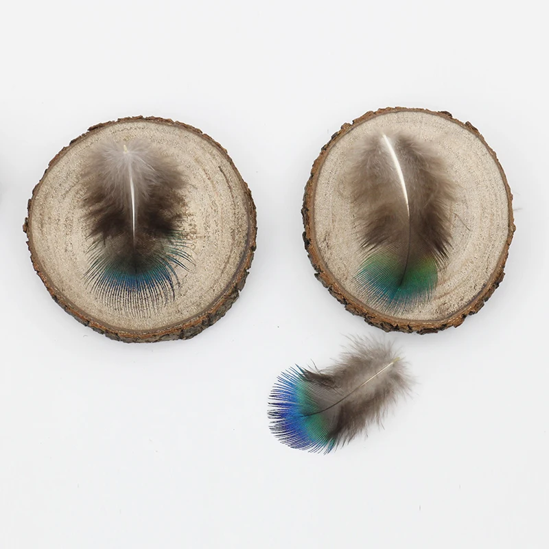 1-2-8-Inch-2-5-7-cm-Blue-Natural-Peacock-Feather-That-Can-Be (3)