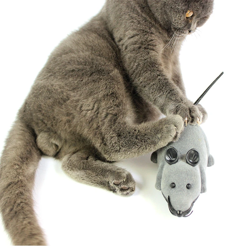mouse (4)