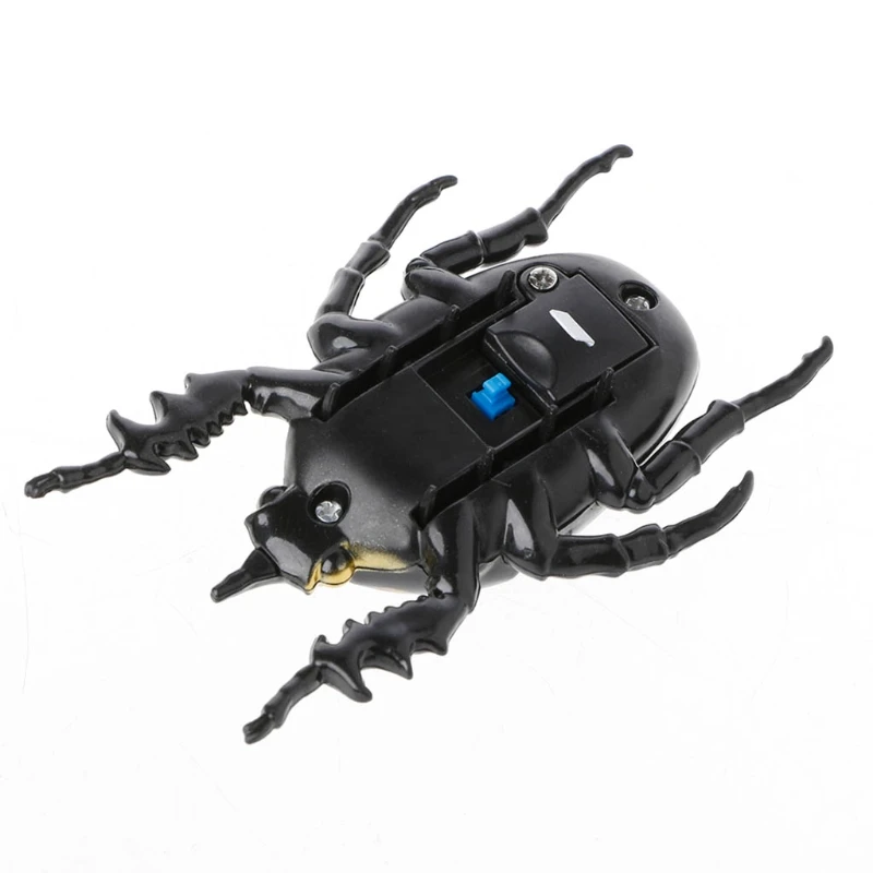 lady beetle ride on toy