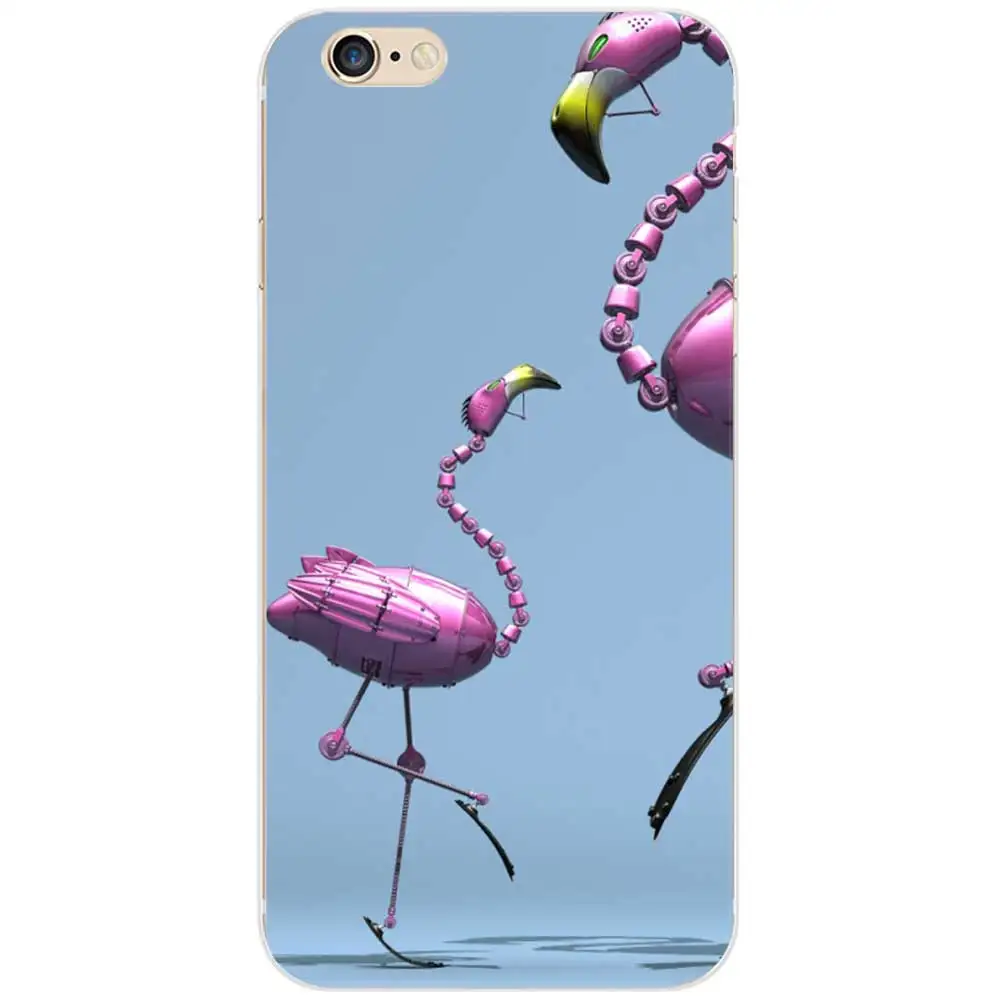 flamingos41