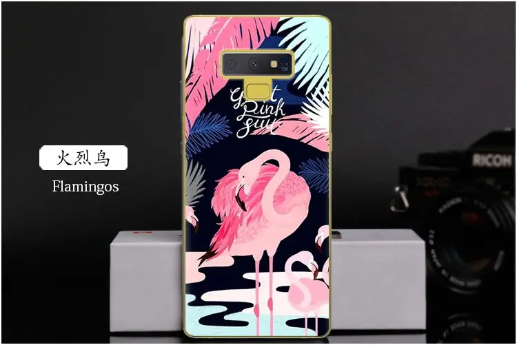  Flamingos
