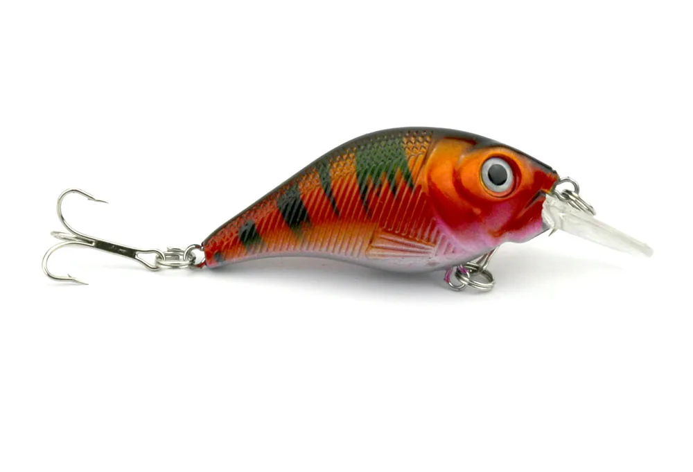 CB007 BAIT (4)